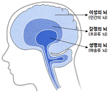 두평의꿈 이미지
