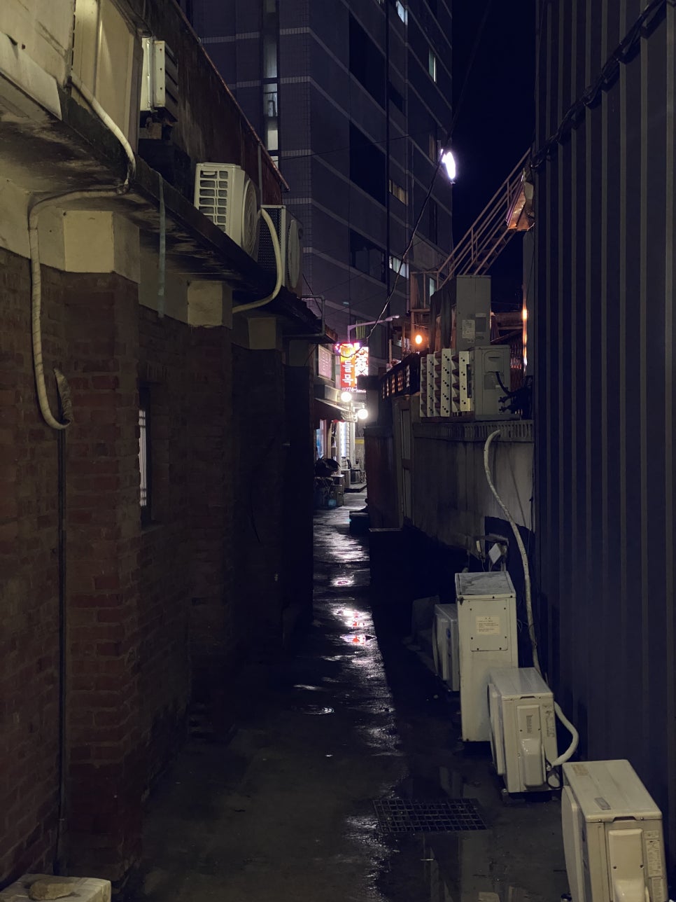 홍어회전문 이미지