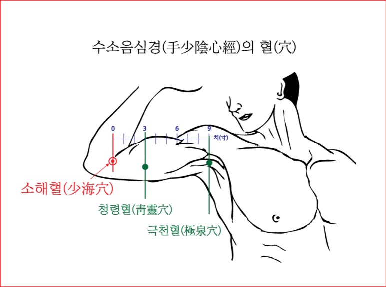 (주)동의보감 이미지