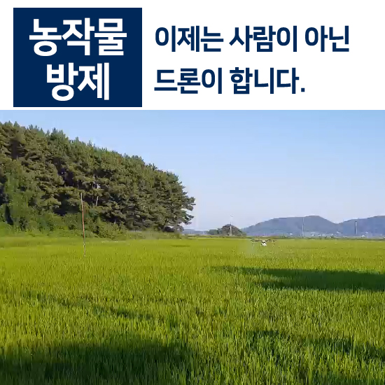 지에스지 이미지