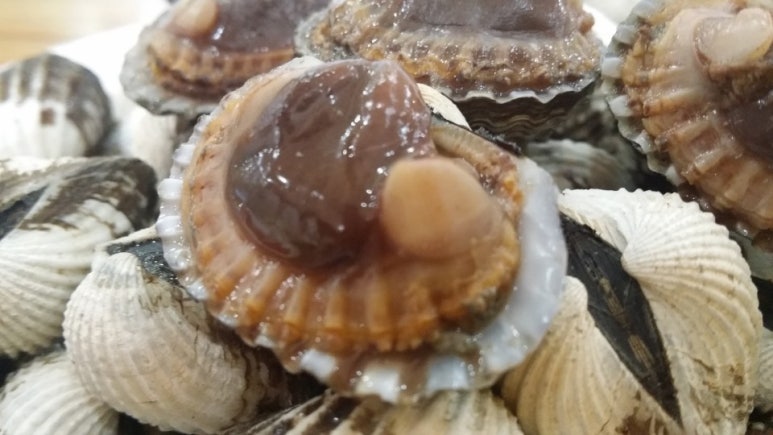 벌교맛집 이미지