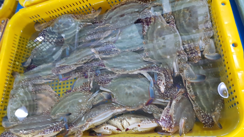 삼천포횟집 이미지