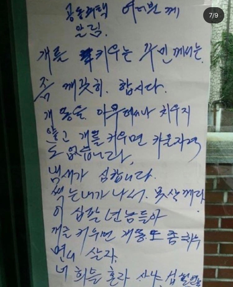 금빛바람 이미지