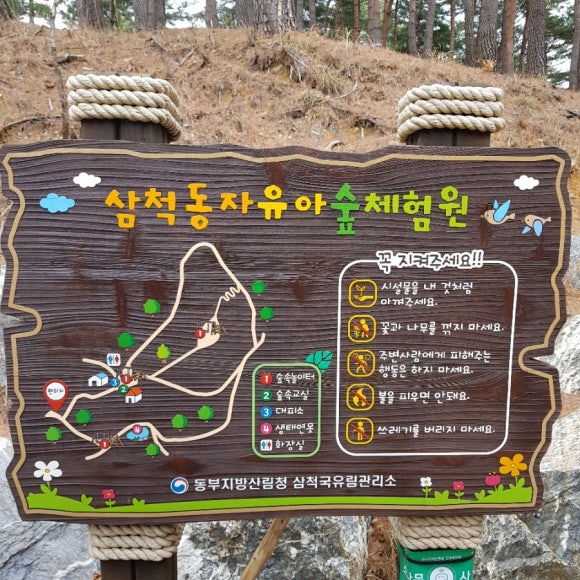 삼척동자 유아숲체험원 이미지