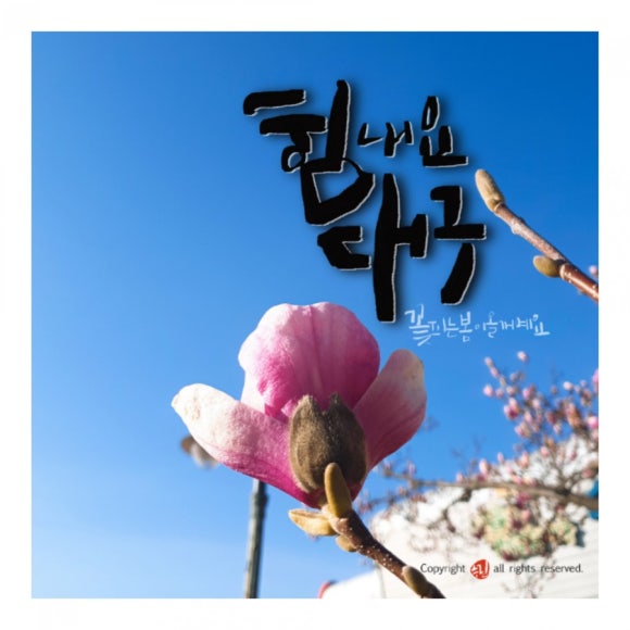 정캘리공방 이미지