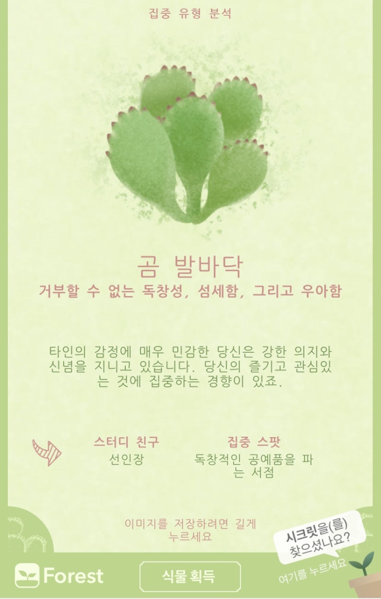 곰발바닥 이미지