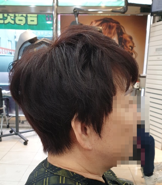 컷트만들기 이미지