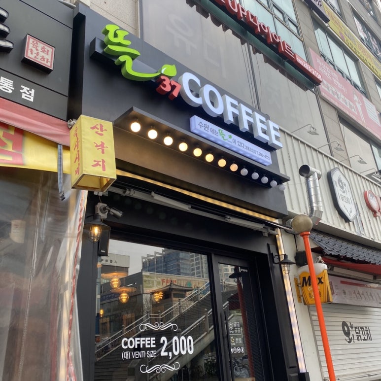 뜰37 이미지