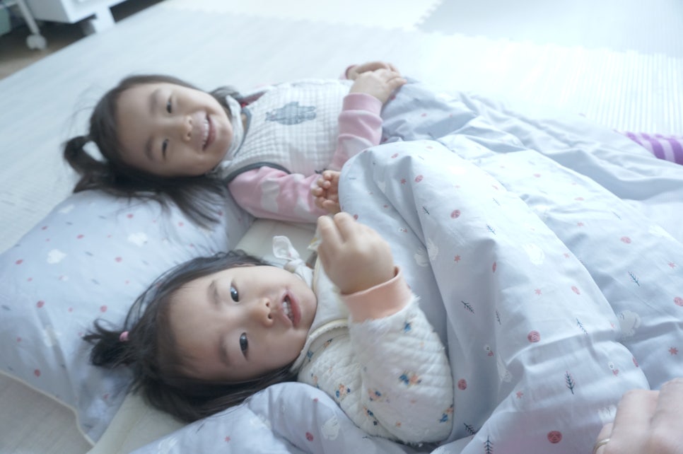 365이불 이미지