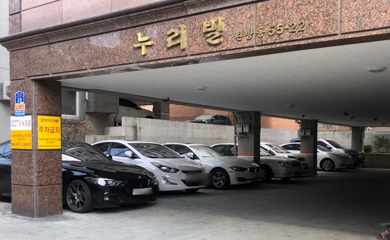 라비드헤어 이미지