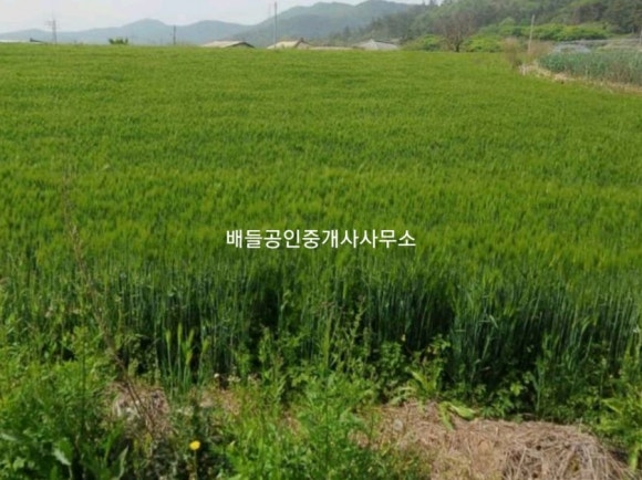영광공인중개사사무소 이미지