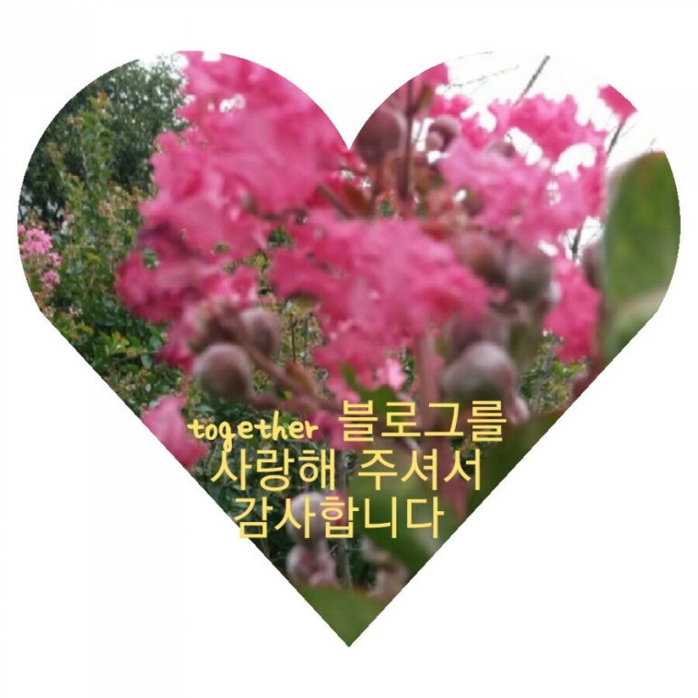 락짬뽕 이미지