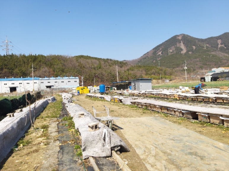 창녕꿀벌농장 이미지