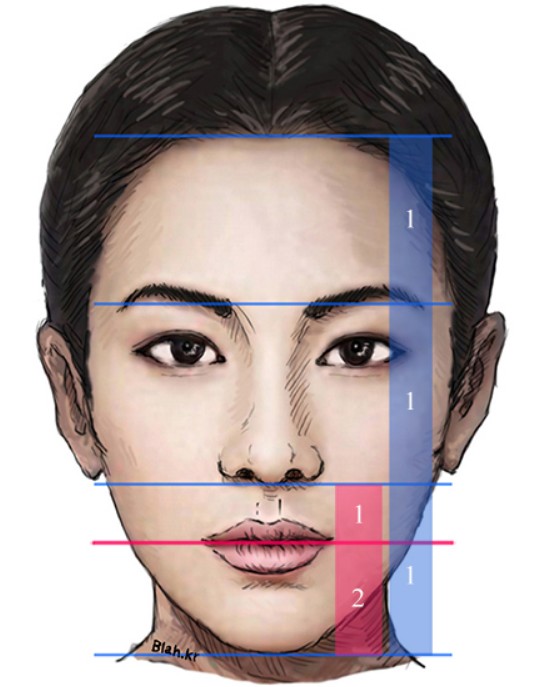 하라고헤어 이미지