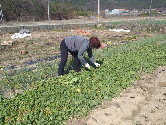 창녕꿀벌농장 이미지