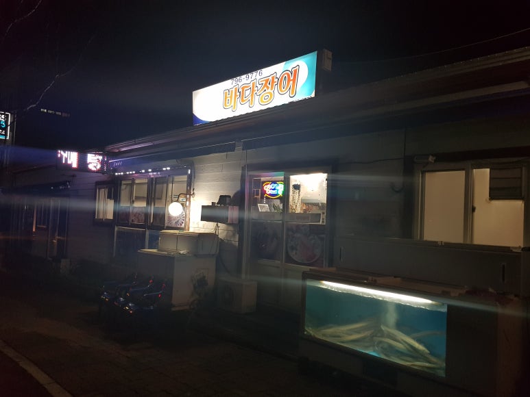 일조바다장어 이미지