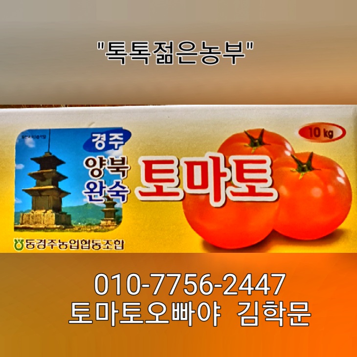 천기농원 이미지