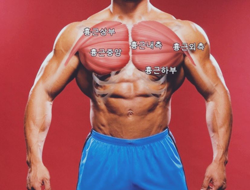 마인드프레스 이미지