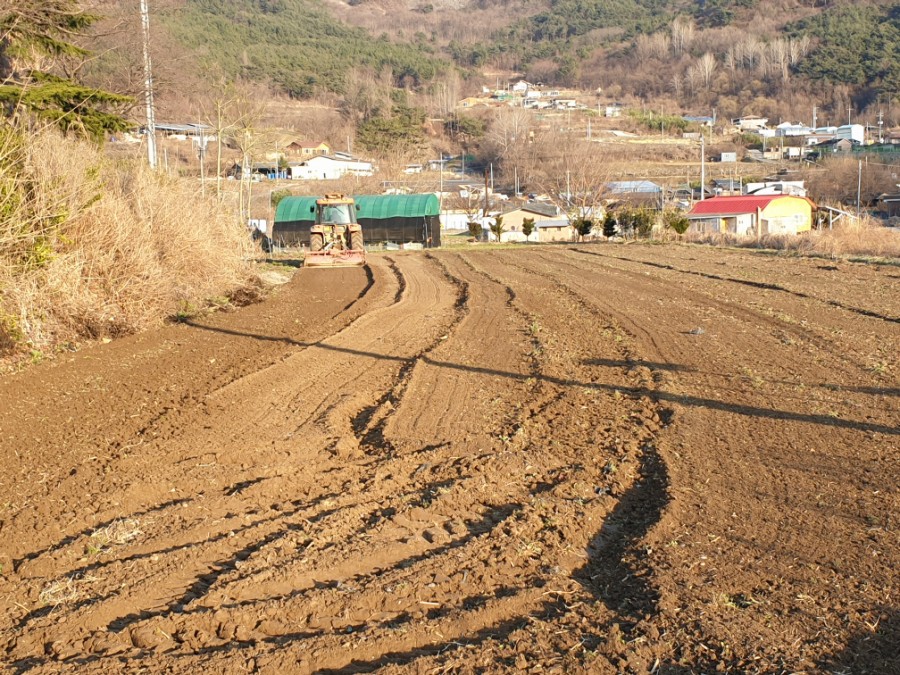 성곡친환경정보화마을 이미지