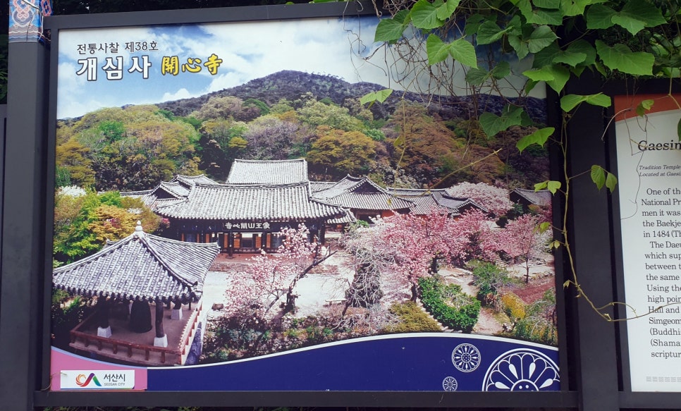 주식회사 다인스 이미지