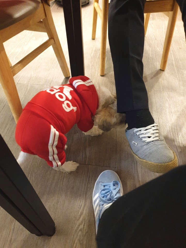 피자뽀끼 이미지