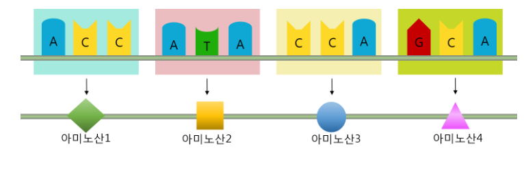 트리플렛 이미지