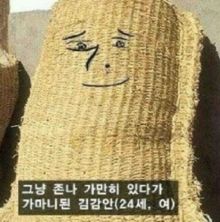 피규어가게 이미지