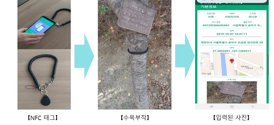 수목개발 이미지