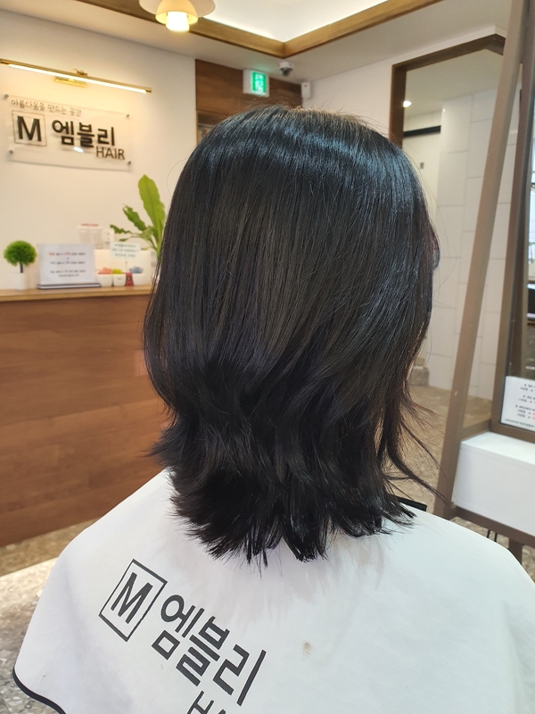 엠블리헤어 이미지