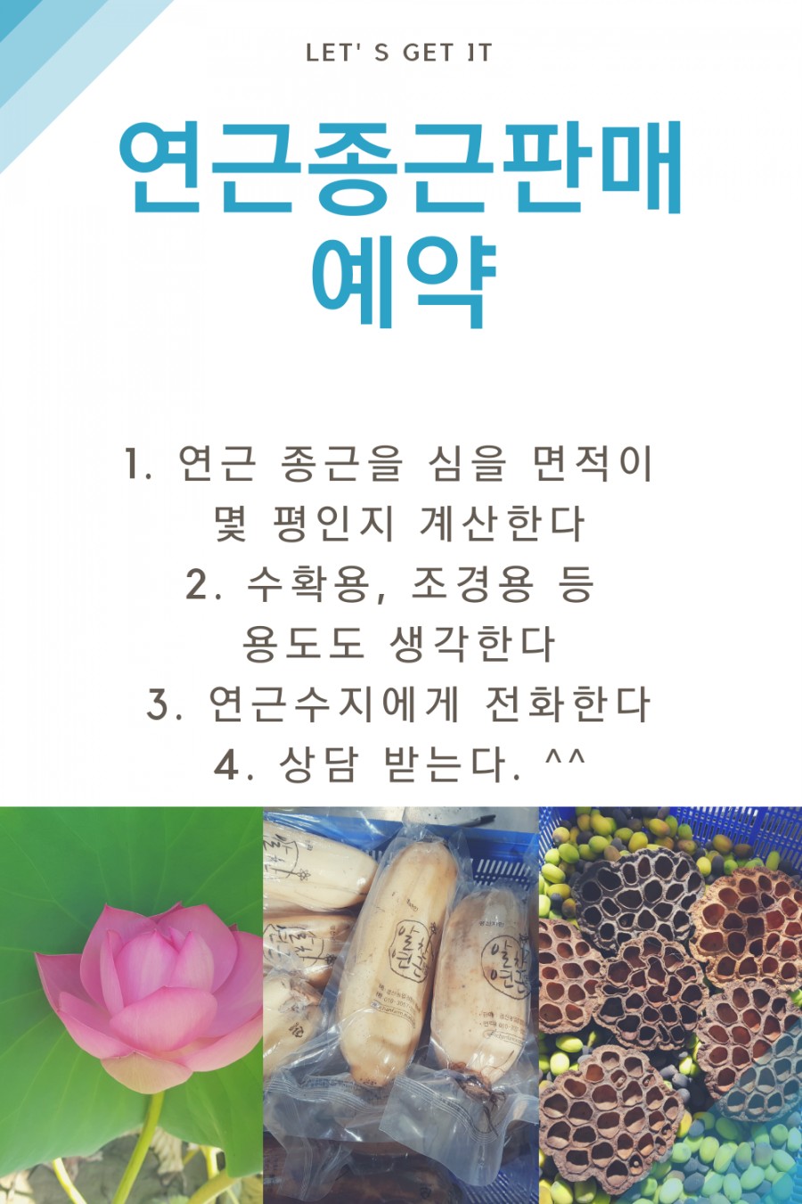 알찬연근팜 이미지