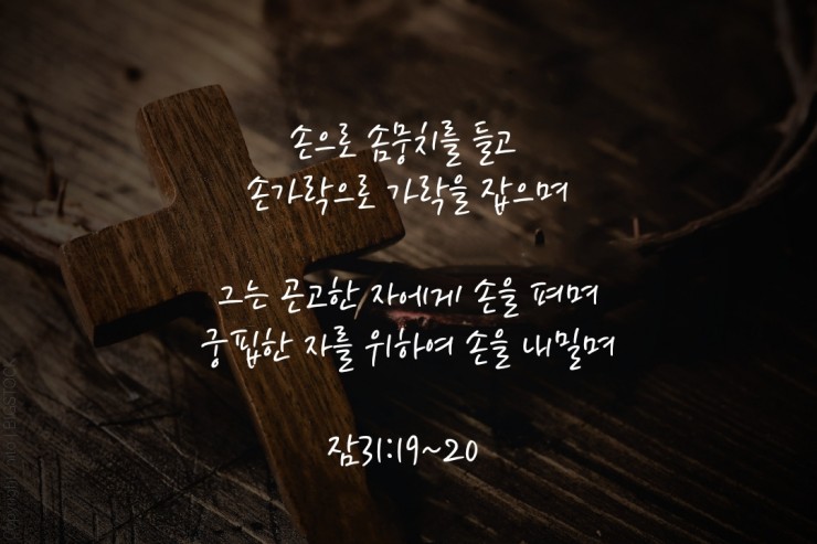 청색자색 이미지
