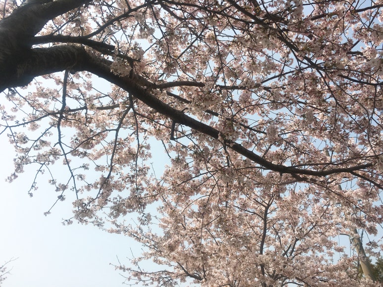 현우상회 이미지