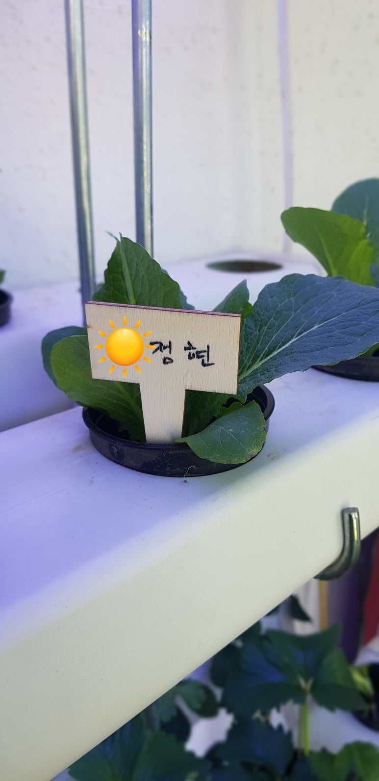 제프웰니스센터 이미지