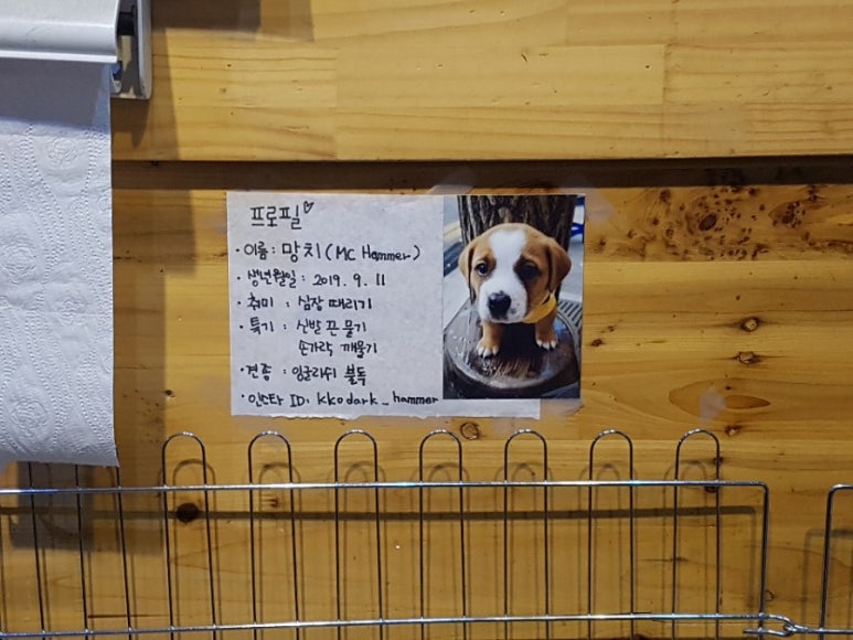 꼬꼬야닭먹자 이미지