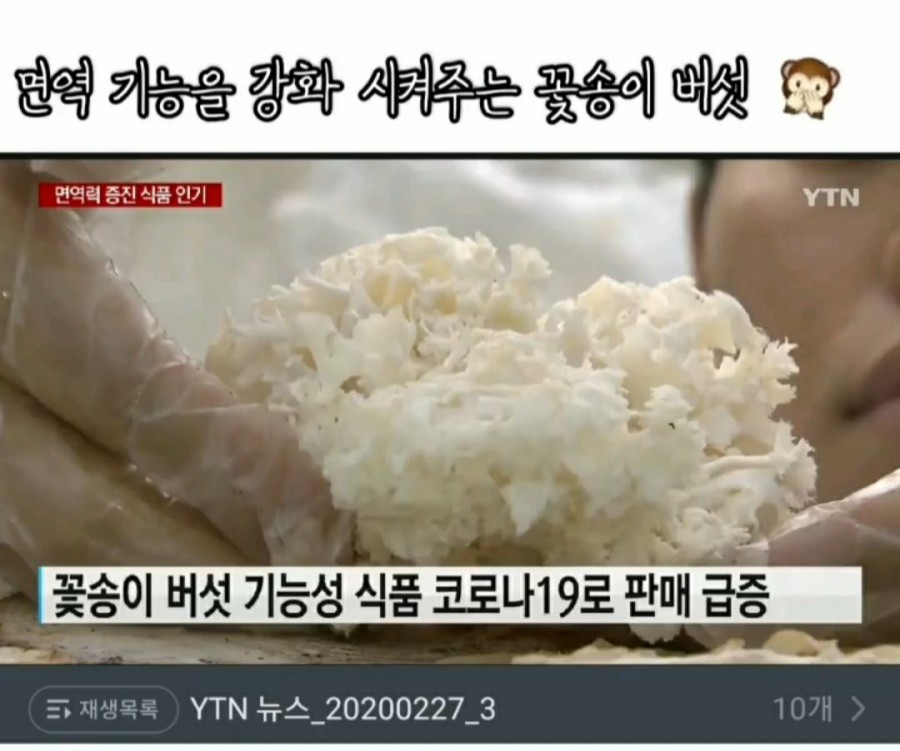 꽃송이인셀덤 이미지