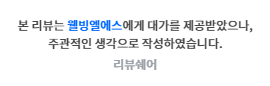 브이엘 이미지