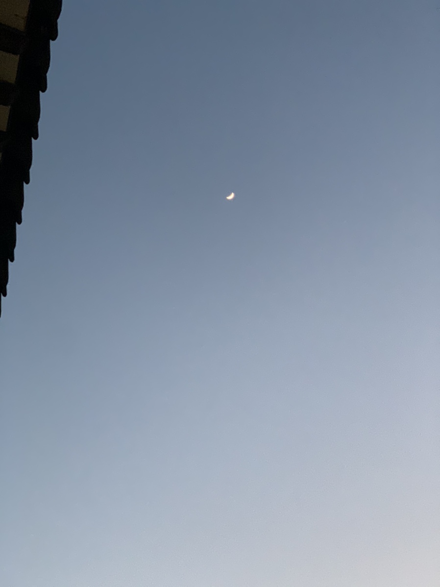 카페로즈인 이미지