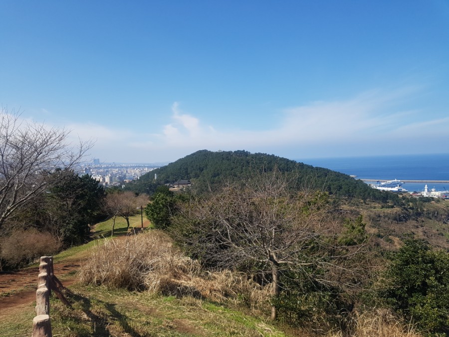 제주건강생활 이미지