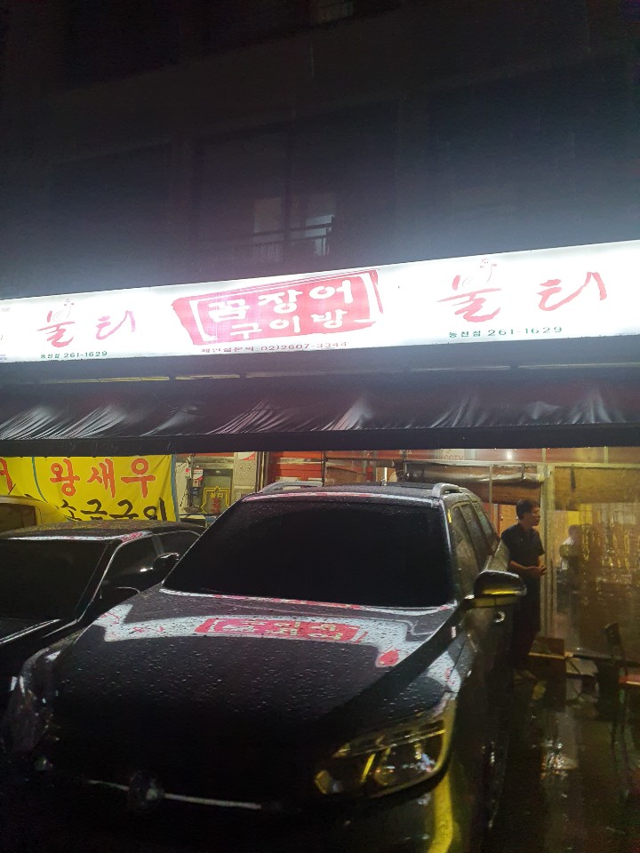 불티꼼장어 이미지