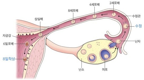 서울위례산부인과의원 이미지
