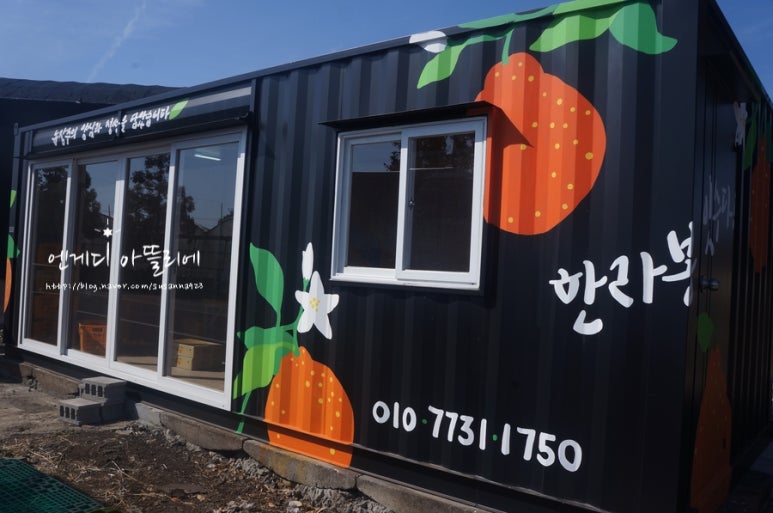 한라봉 잇수다 이미지