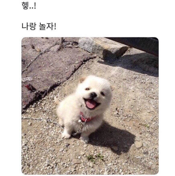 살랑살랑 이미지