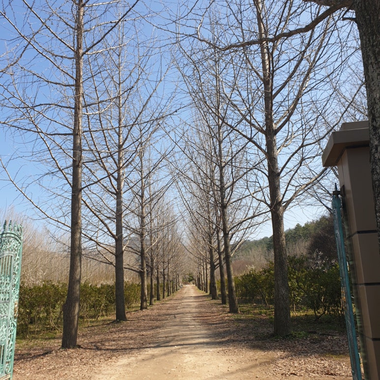 글로리팜 이미지