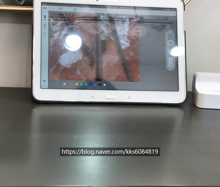 닛시헤어 이미지