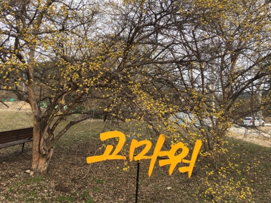 신둔농업협동조합 하나로마트 이미지