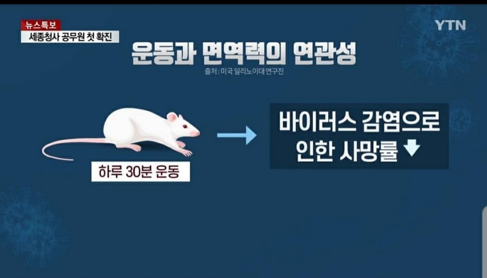 에스핏휘트니스 이미지