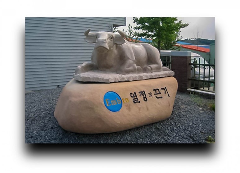 황소상사 이미지
