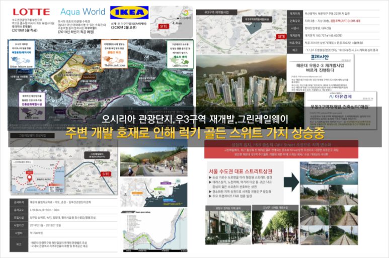 럭키골든스위트 이미지
