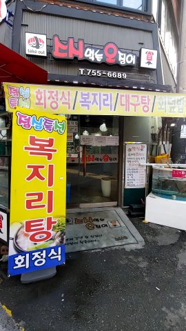 스시 먹는 오징어 이미지