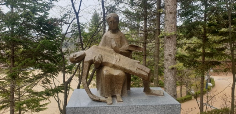 성모상회 이미지